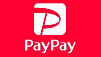 payayのロゴ写真